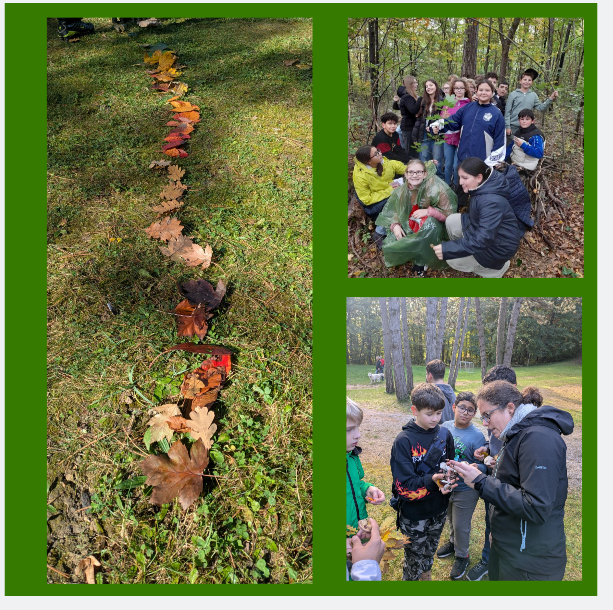 Screenshot 2025 10 22 165548